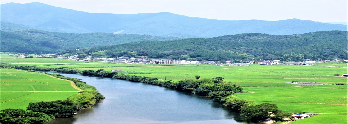 おいしい仁井田米(十和錦)のお店・樽井商店