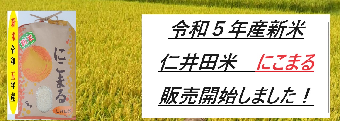 令和5年四万十川仁井田米(十和錦)袋込み(25キロ)-